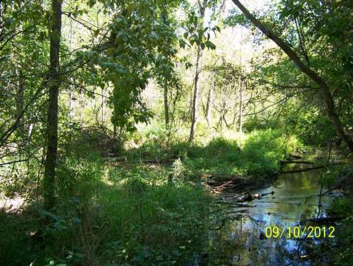 A view of Iron Creek, a stream that connects high-quality habitat across the property of a number of private landowners.
